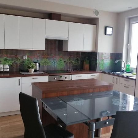 Komfortowy Apartament Dla Turystow I Pracownikow Гданьск Экстерьер фото